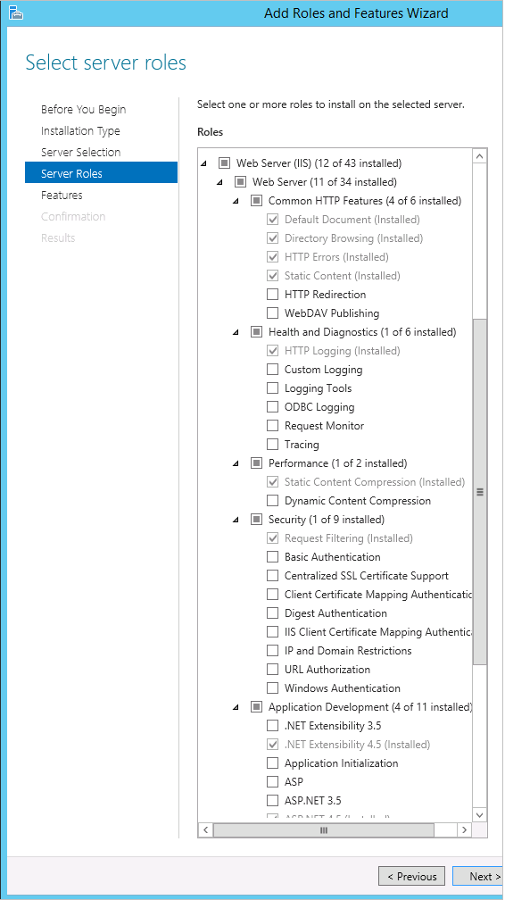 Enable the Web Server IIS Role on Windows Server OS