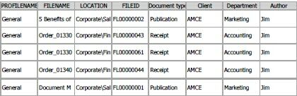 Example of Profile Exported in PDF format