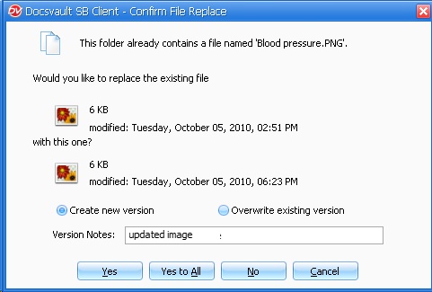 Confirm File Replacement - Create a new version