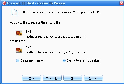 Confirm File Replacement - Overwrite existing version