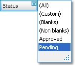 Filter Drop down list