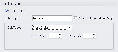Numeric Mask - Fixed Digits