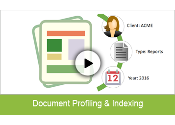 Document Profiling